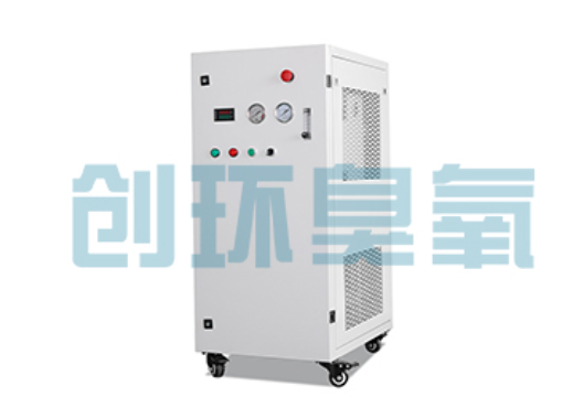 抚州石斑鱼养殖水质调控完整指南：臭氧发生器配置与操作步骤