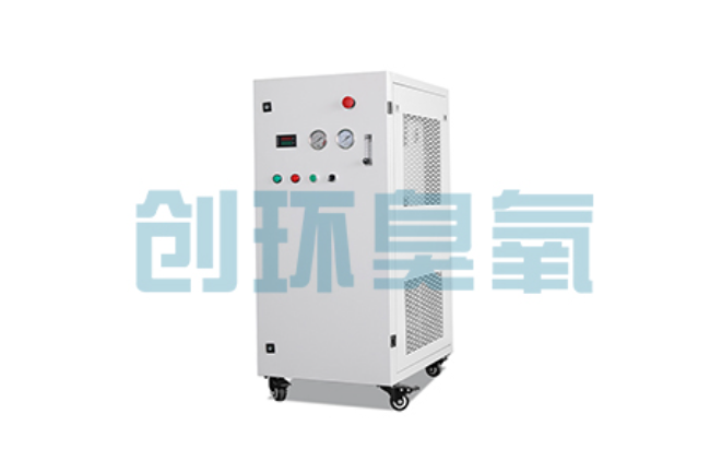 抚州比传统换水更高效？臭氧发生器在石斑鱼养殖中的水质净化原理解析